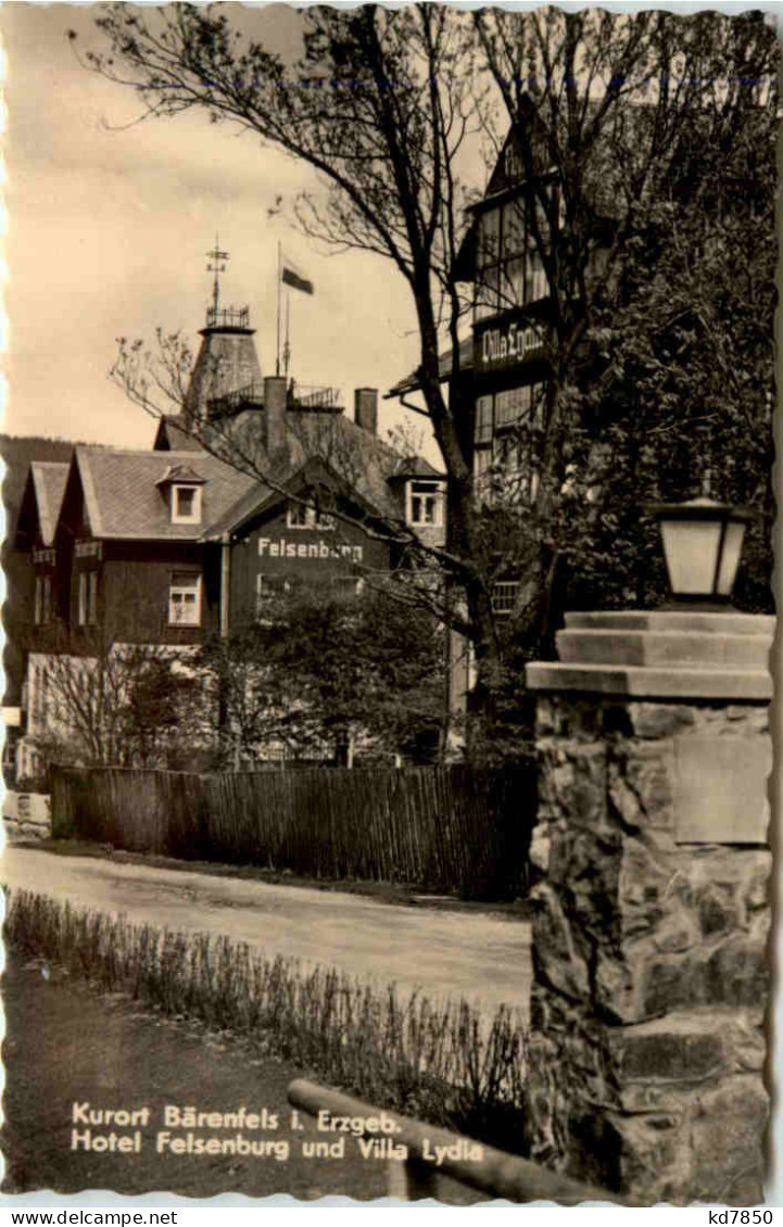 Kurort Bärenfels, Hotel Felsenburg Und Villa Lydia - Altenberg