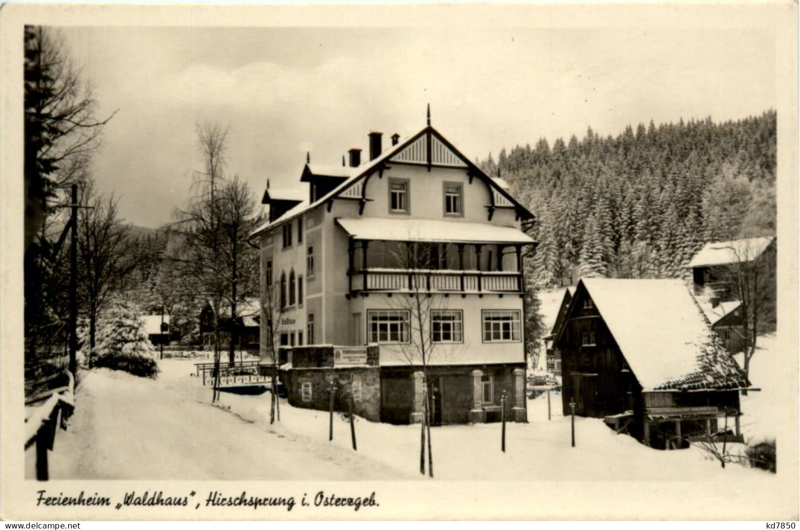 Hirschsprung, Ferienheim Waldhaus - Altenberg