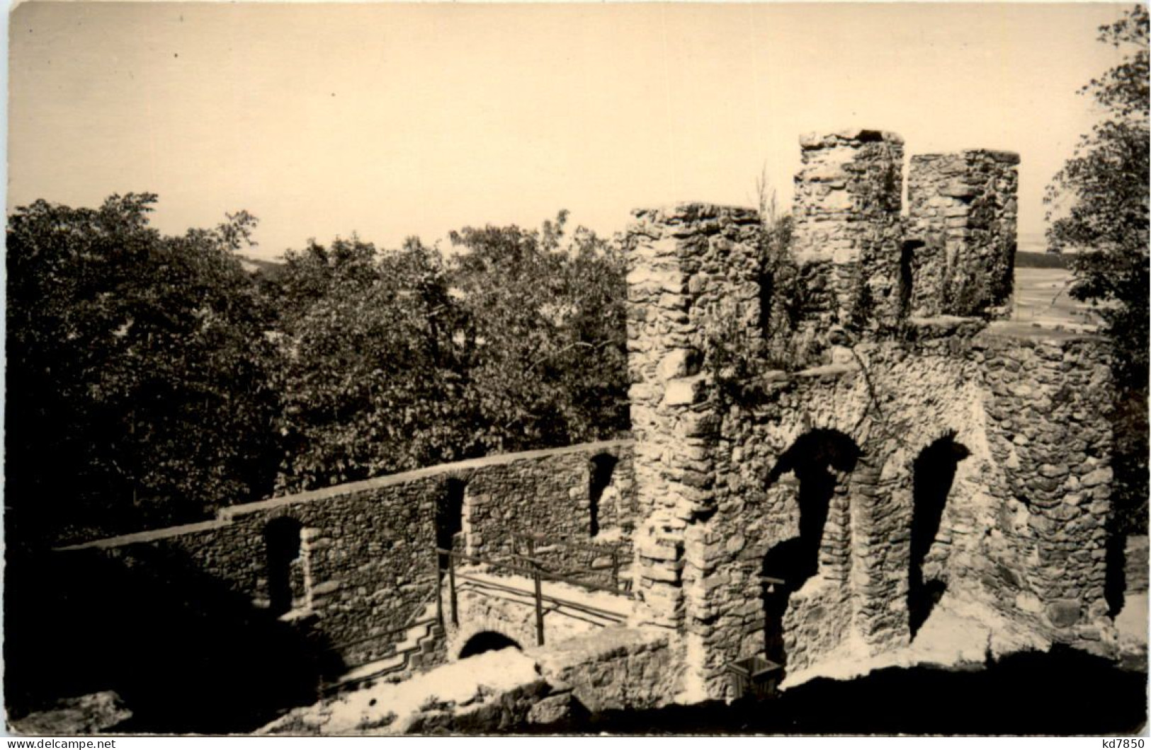 Burgruine Frauenstein I. Erzgeb. - Frauenstein (Erzgeb.)