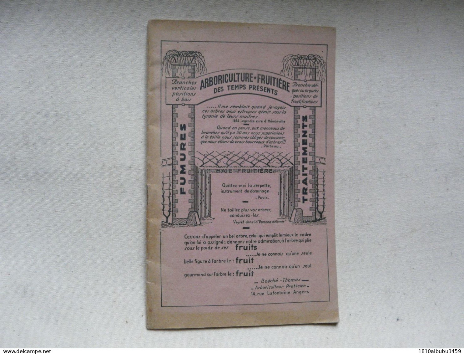 ARBORICULTURE FRUITIERE DES TEMPS MODERNES - Etude Comparée Sur La Taille Des Arbres Fruitiers 1952 - Jardinage