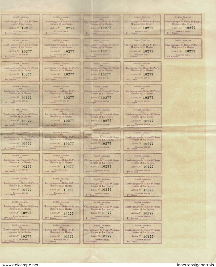 Titre De 1905 - Sté Anonyme Des Charbonnages De Haine-St-Pierre Houssu Et La Hestre - - Miniere