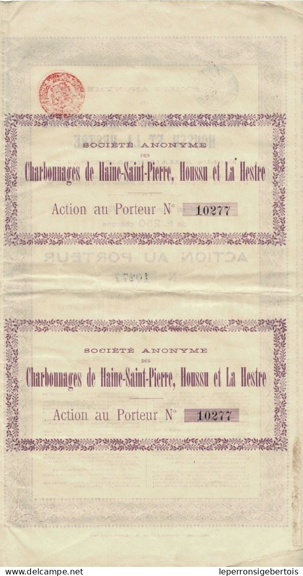 Titre De 1905 - Sté Anonyme Des Charbonnages De Haine-St-Pierre Houssu Et La Hestre - - Mineral