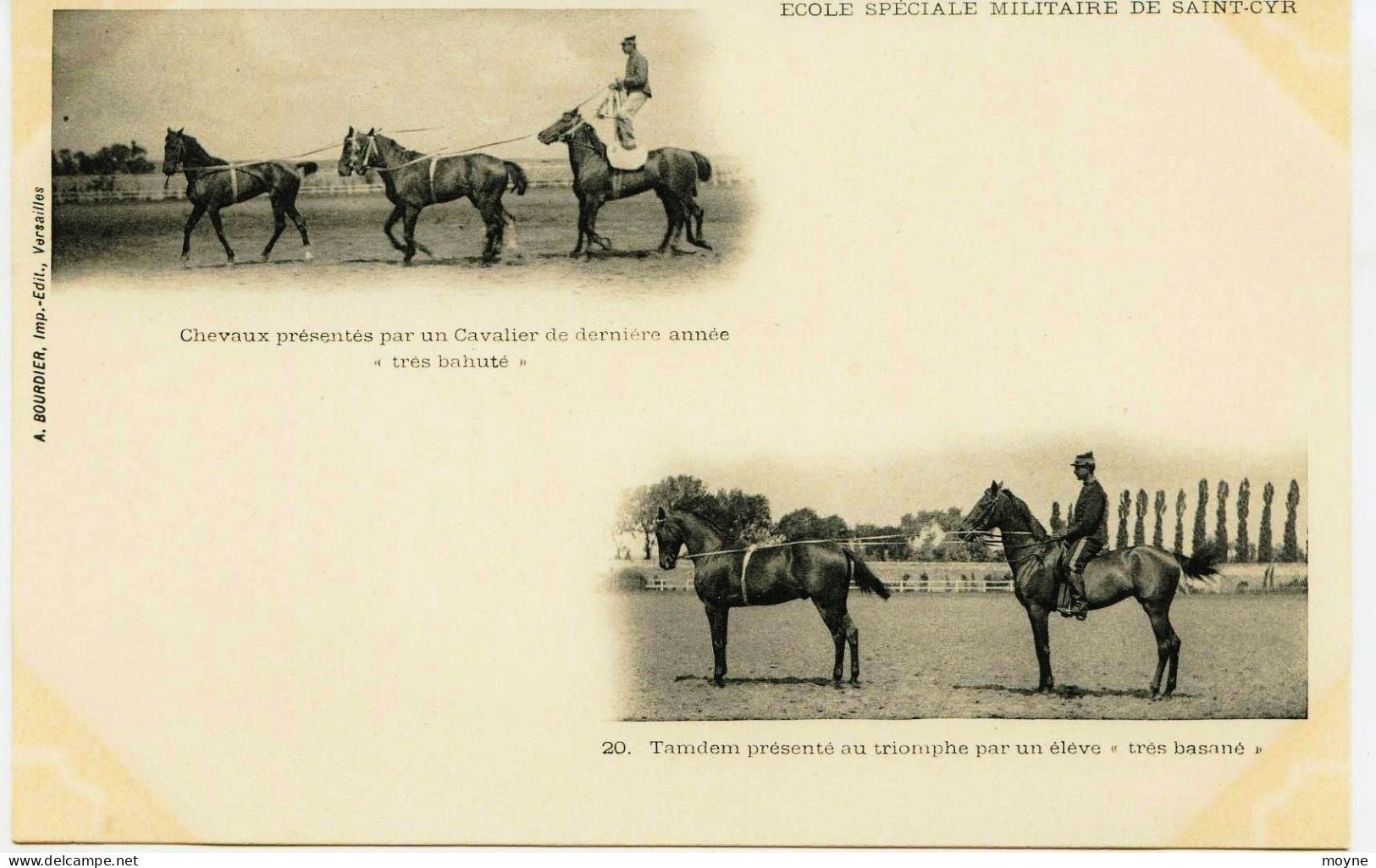 3383 -Yvelines - SAINT - CYR : Ecole Spéciale Militaria En 1900 - CHEVAUX PRESENTES PAR UN CAVALIER DE DERNIERE ANNEE - Régiments