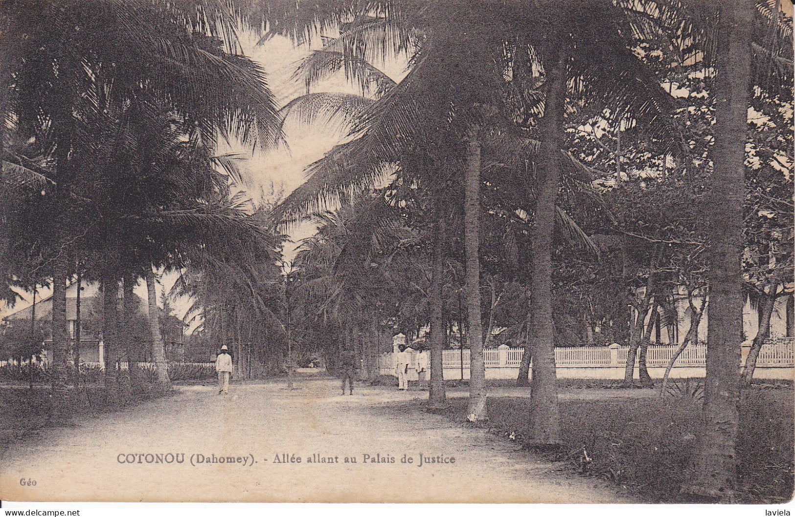 AFRIQUE - DAHOMEY - COTONOU - Allée Allant Au Palais De Justice - Dahomey
