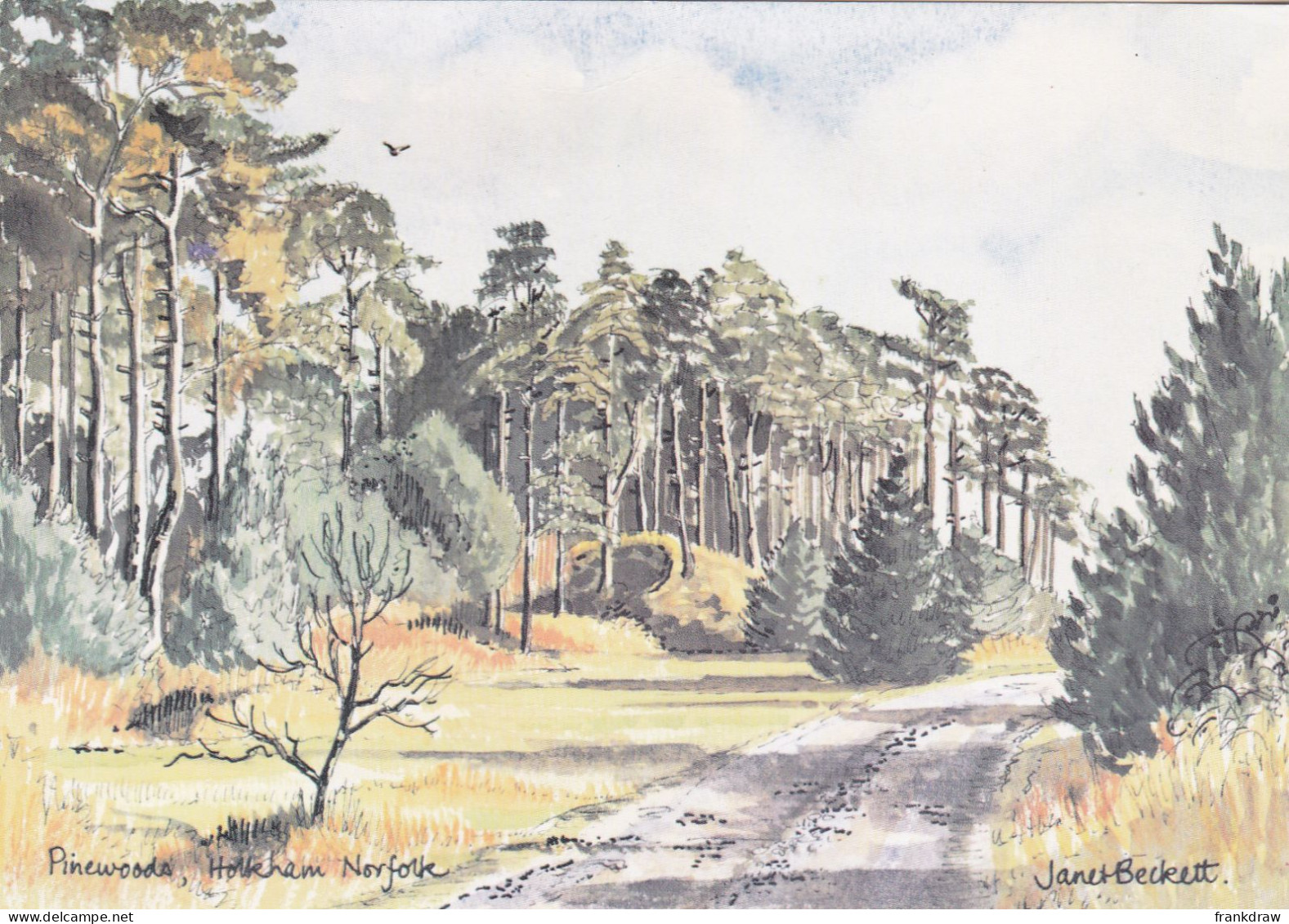 Postcard - Art - Janet Beckett - Pinewoods, Holkam, Norfolk - VG - Non Classificati