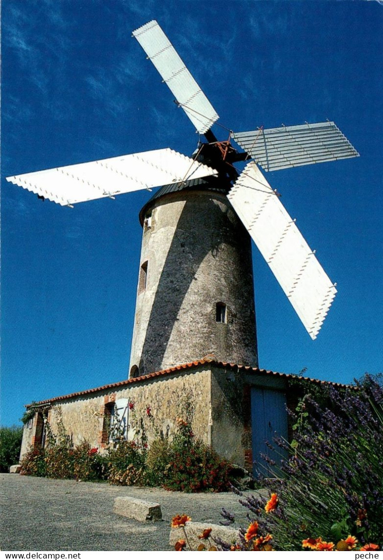 N°1308 Z -cpsm Moulin De Rairé - Moulins à Eau