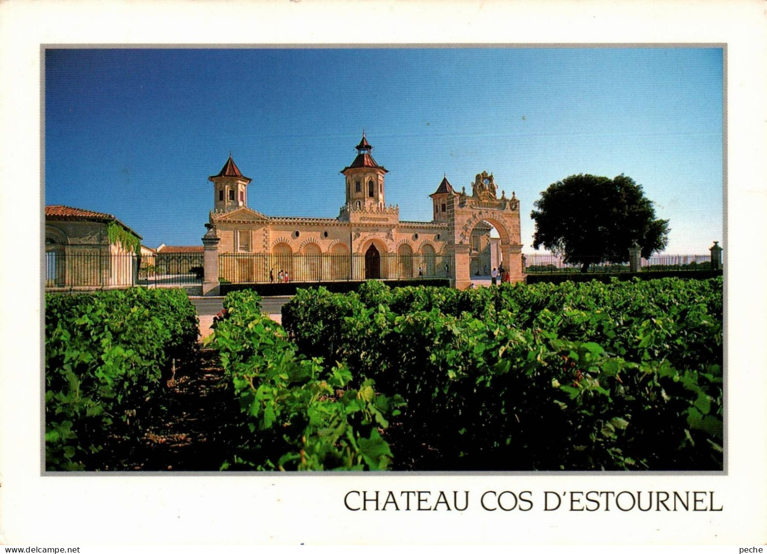 N°1310 Z -cpsm Château Cos D'Estournel - Viñedos