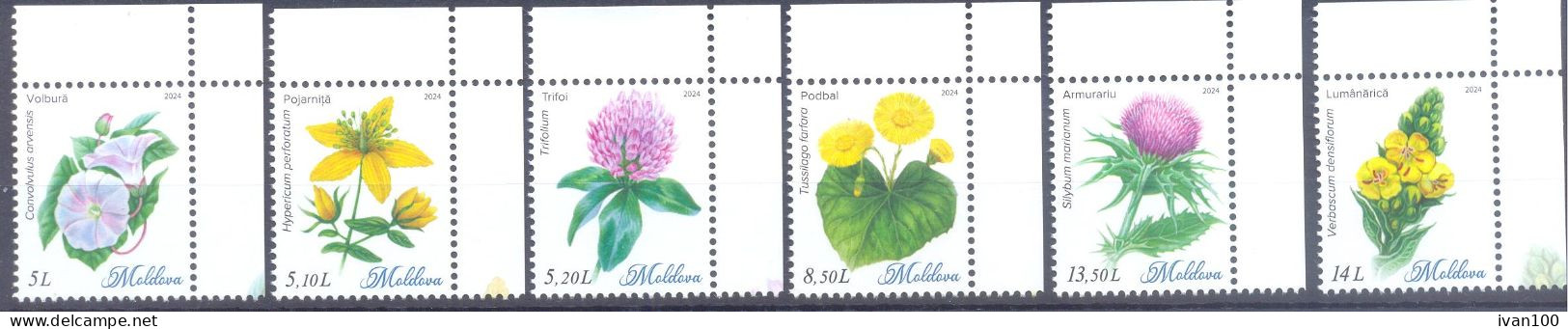 2024. Moldova,  Flora Of Moldova, Wild Flowers, 6v, Mint/** - Moldova