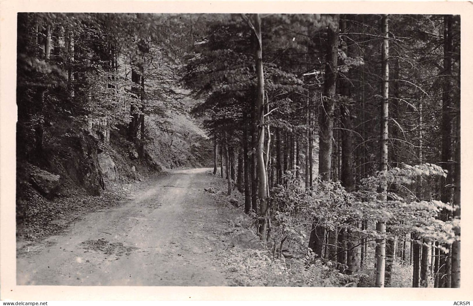 LE MONT PILAT Route En Foret 5(scan Recto-verso) MA717 - Mont Pilat