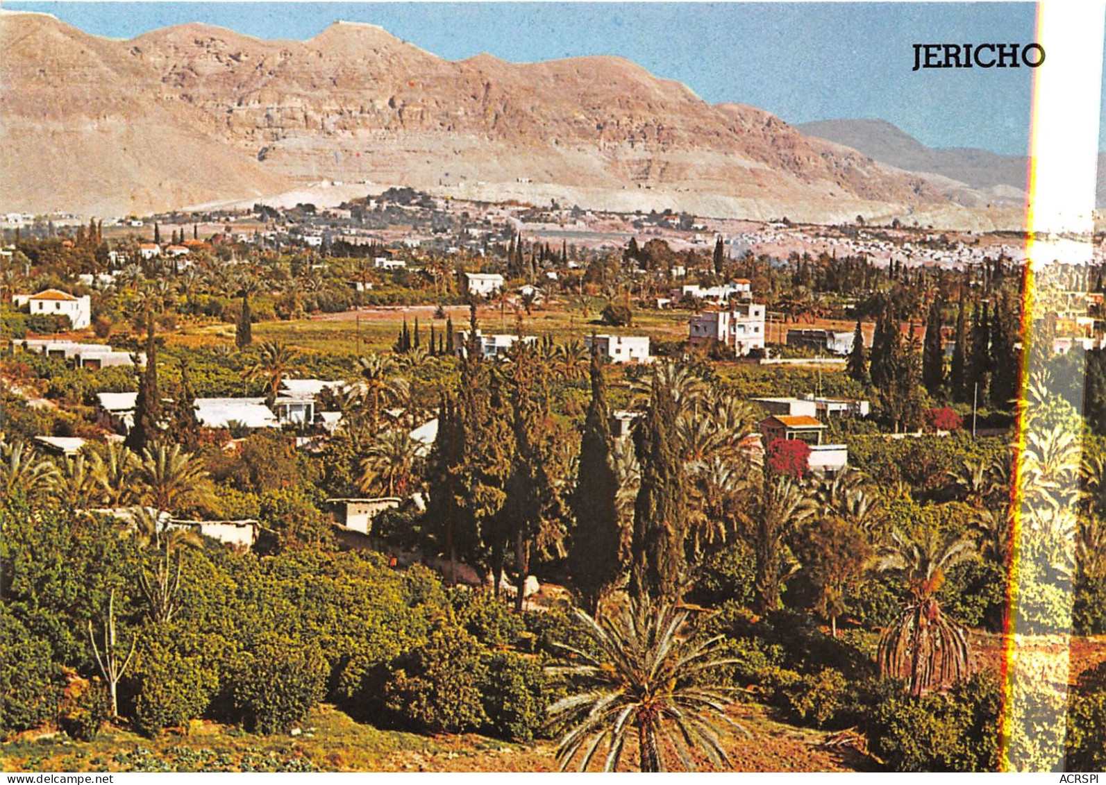 JERICHO Ville Des Palmiers Vallée Du Jourdain 30(scan Recto-verso) MA736 - Israel