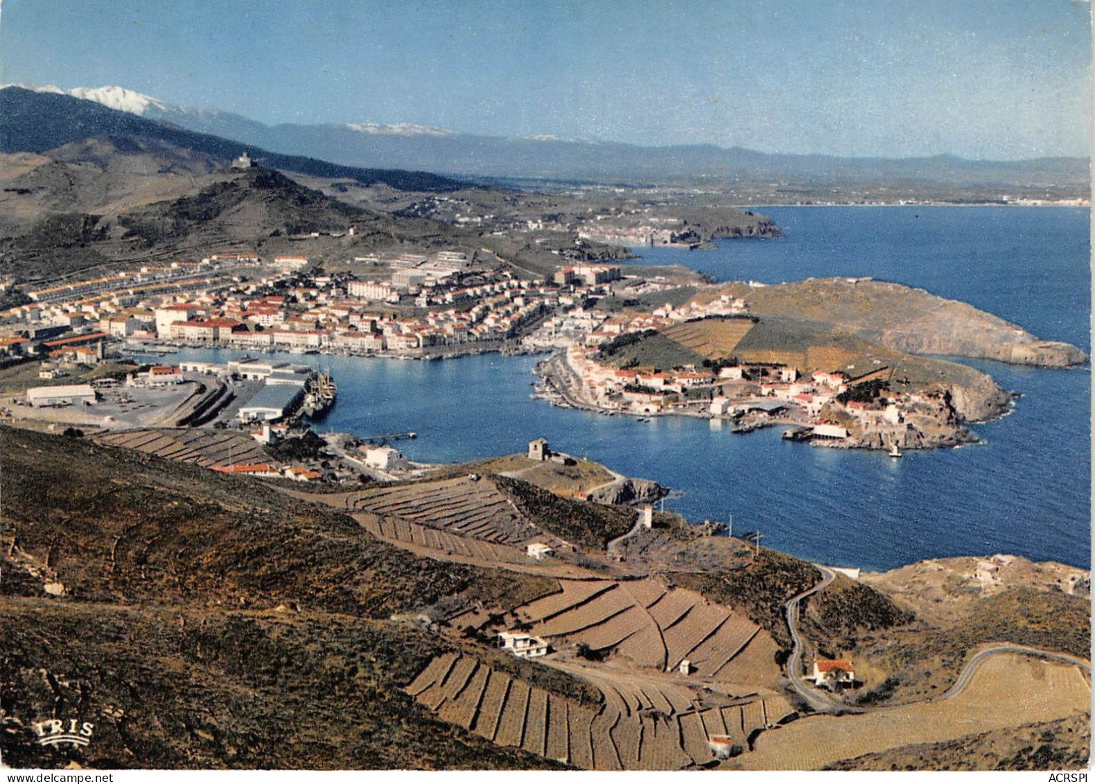 PORT VENDRES L Entree Du Port Le Fort Saint Elmes COLLIOURE Et La Plage D Argeles 29(scan Recto-verso) MA761 - Port Vendres