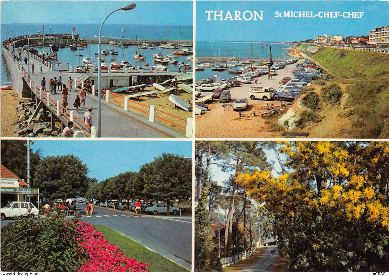 THARON SAINT MICHEL Le Port Et Les Avenues 25(scan Recto-verso) MA755 - Tharon-Plage