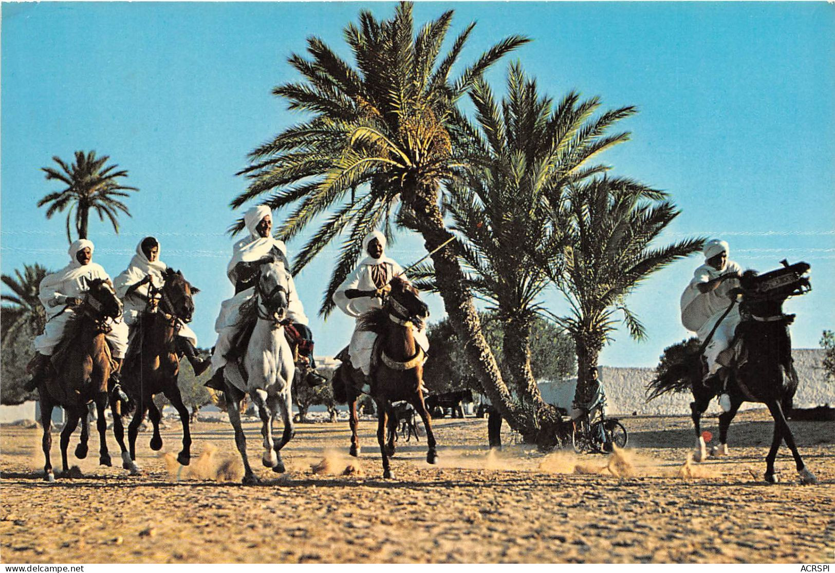 TUNISIE Fantasie 27(scan Recto-verso) MA751 - Tunisia