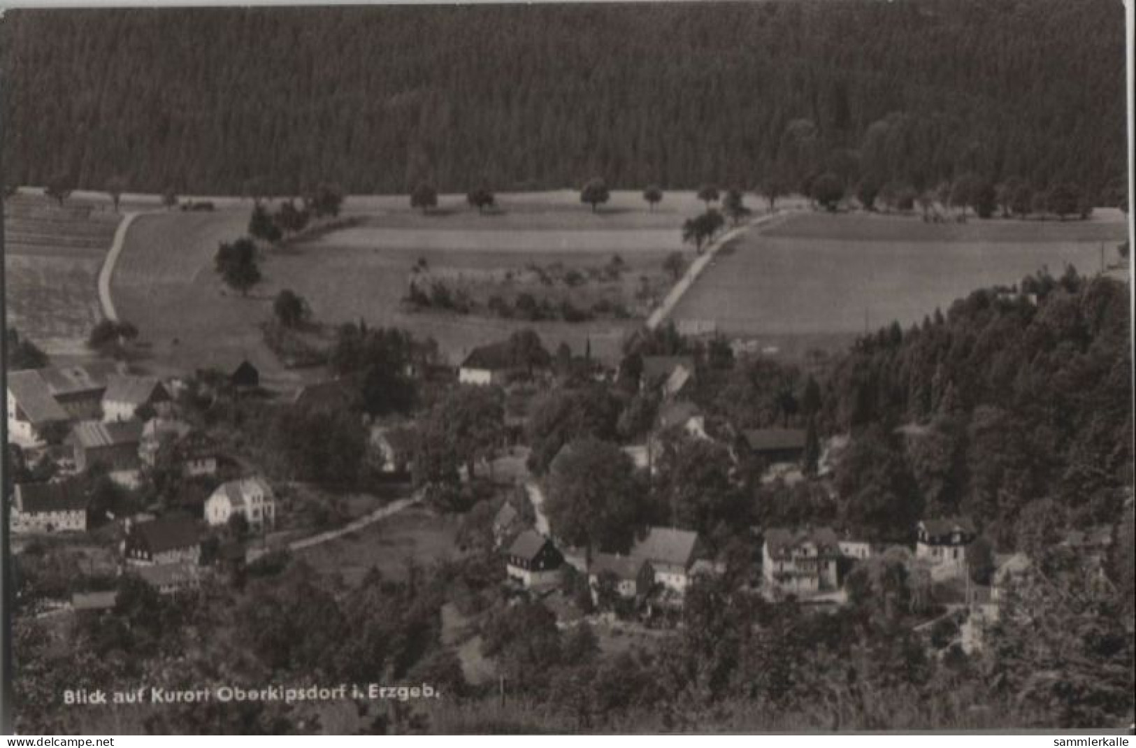 38416 - Altenberg-Oberkipsdorf - Blick Auf Dorf - 1964 - Kipsdorf