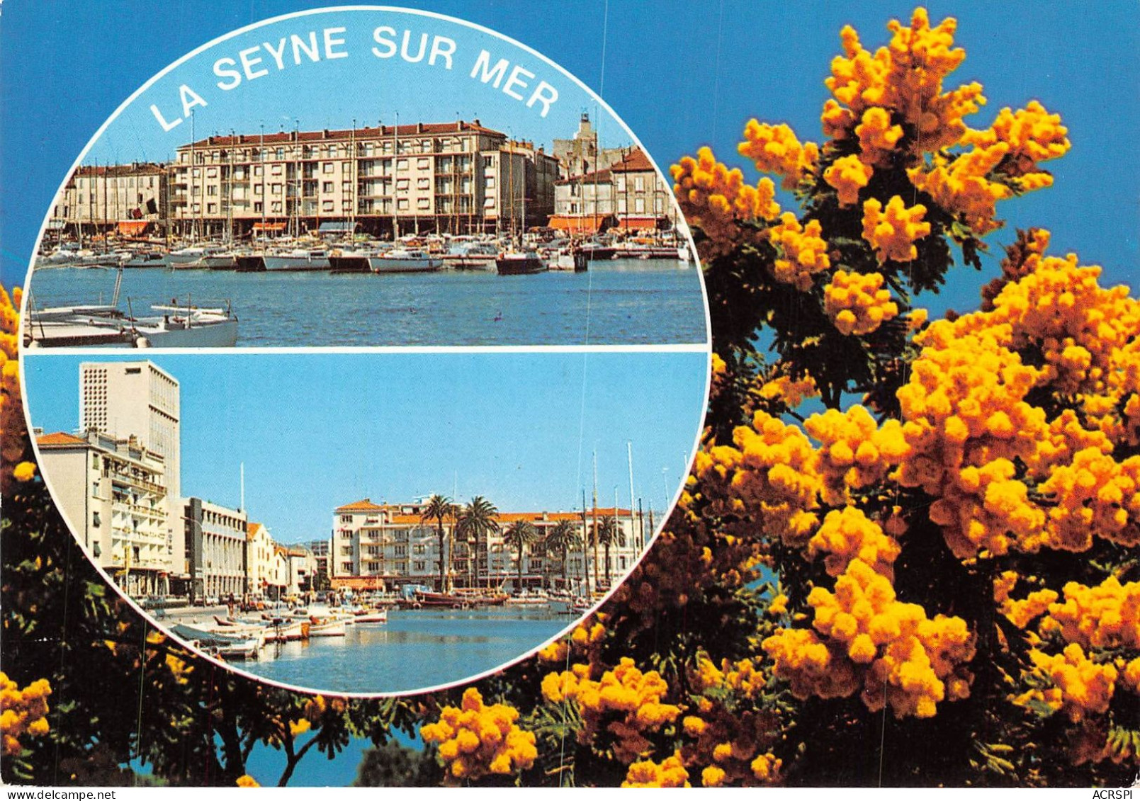 LA SEYNE SUR MER 3(scan Recto-verso) MA789 - La Seyne-sur-Mer
