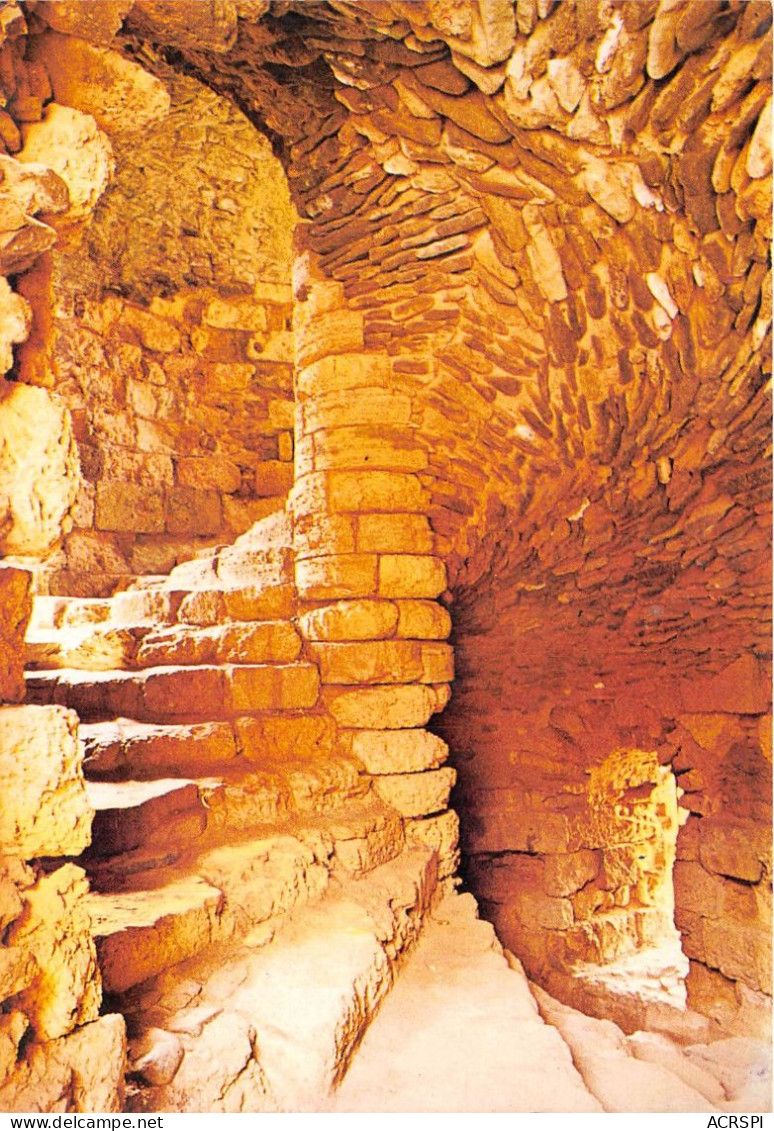 TALMONT Le Chateau Feodal L Escalier Du Donjon 26(scan Recto-verso) MA797 - Talmont Saint Hilaire