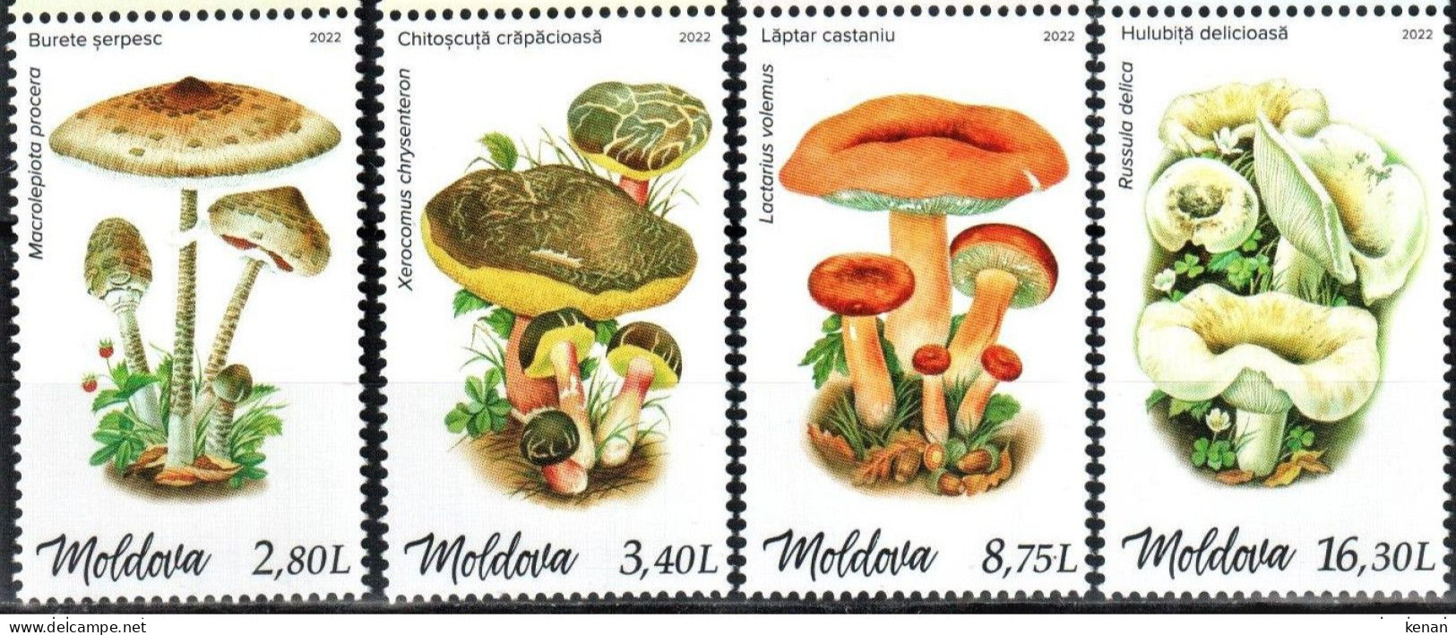 Moldova, 2022, Mushrooms (MNH) - Pilze