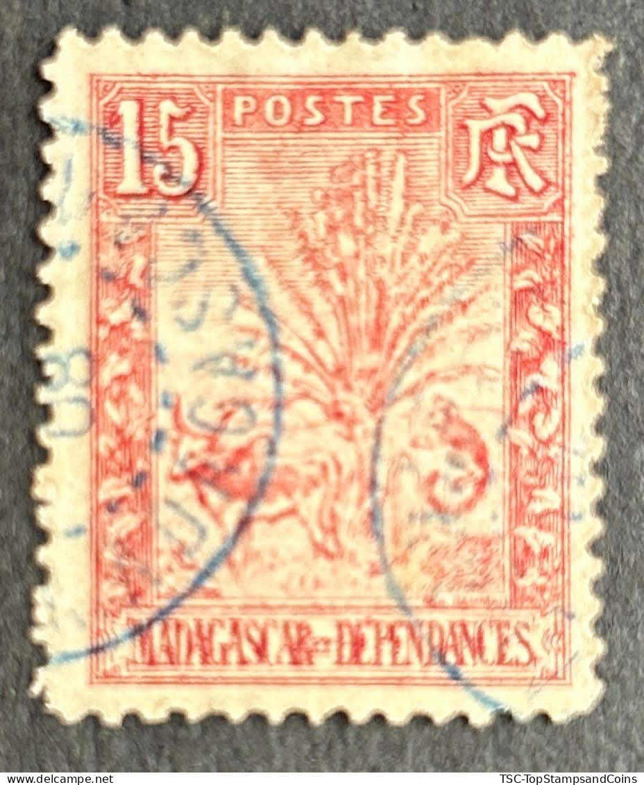 FRMG0068U - Traveler's Tree, Zebu & Lemur - 15 C Used Stamp - Madagascar - 1903 - Oblitérés