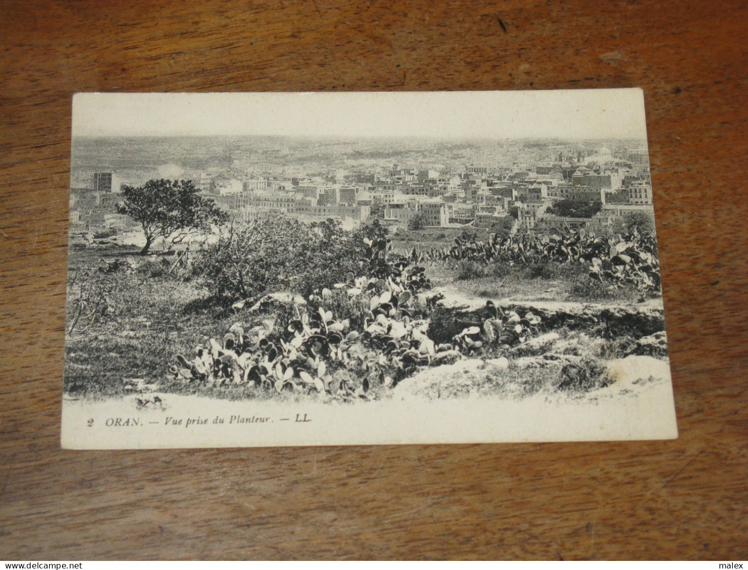 ORAN / Vue Du Planteur - Oran