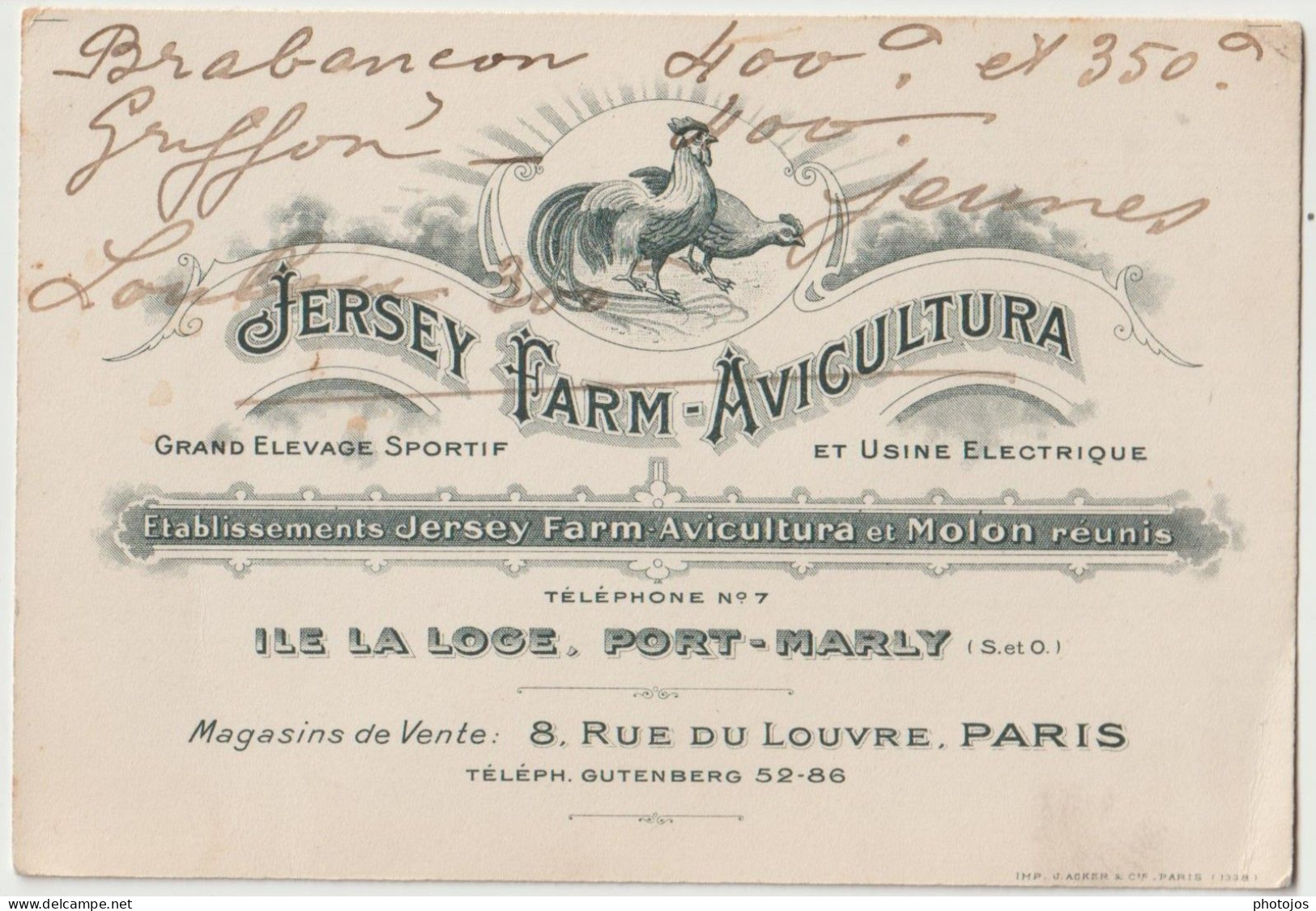 Carte Publicité Commerciale Litho Aviculture Jersey Farm  Ile De La Loge Port Marly (78)  Voir Dos - Pubblicitari