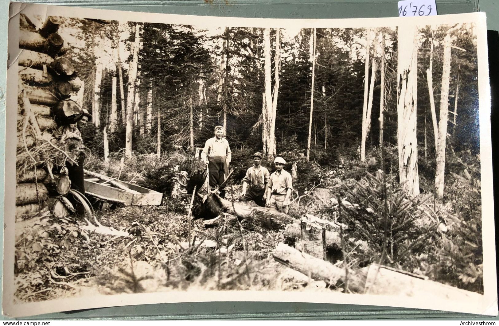 Québec - à Causapscal, Vallée De La Matapédia : Chasse à L'orignal Par Ernest Plante (16'769) - Other & Unclassified