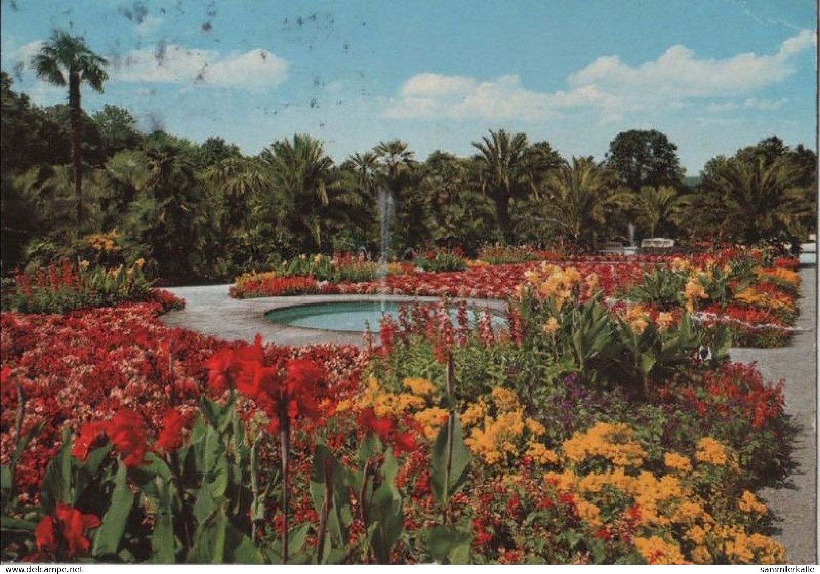 105371 - Bad Pyrmont - Palmengarten Im Kurpark - 1976 - Bad Pyrmont