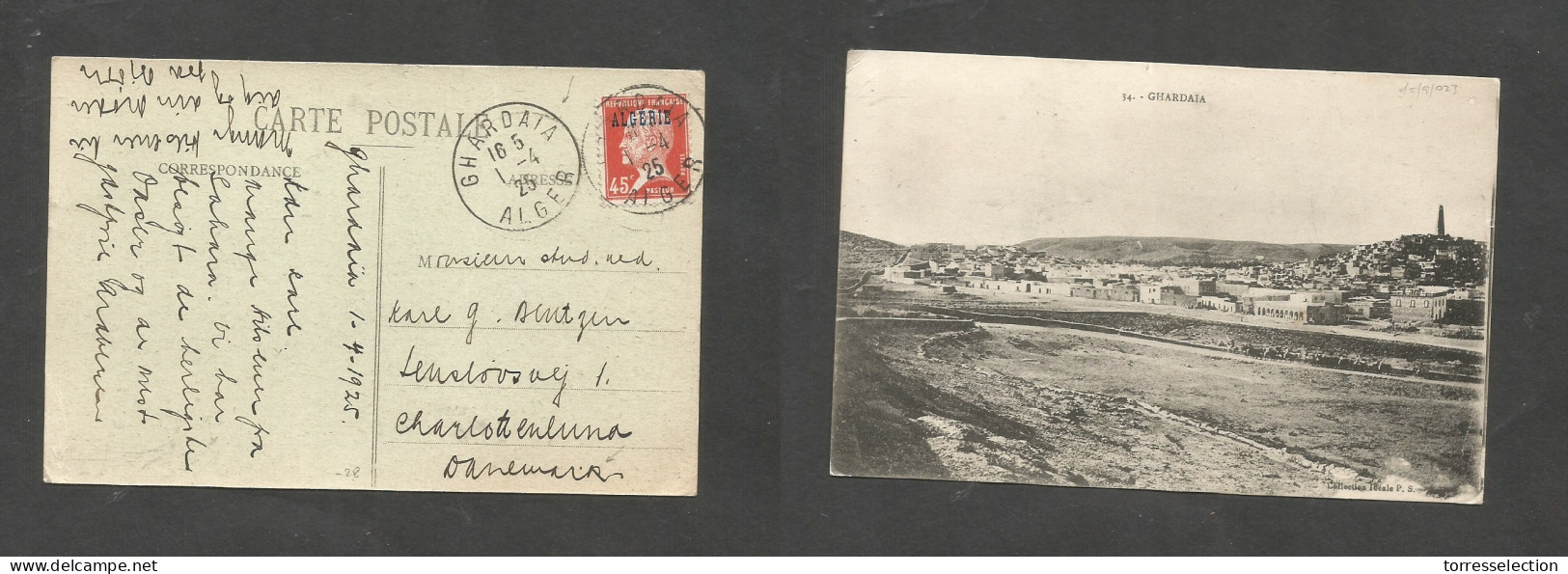 ALGERIA. 1925 (1 April) Ghardain - Denmark, Charlstienluna. Single 45c Pasteur Ovptd Fkd Ppc, Tied Village Cds. VF. - Algeria (1962-...)