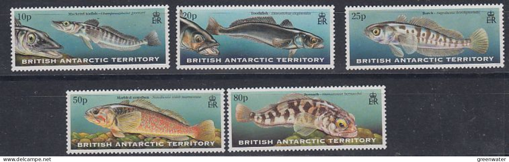 British Antarctic Territory (BAT) 1999 Fish Of The Southern Ocean 5v  ** Mnh (59533) - Ungebraucht