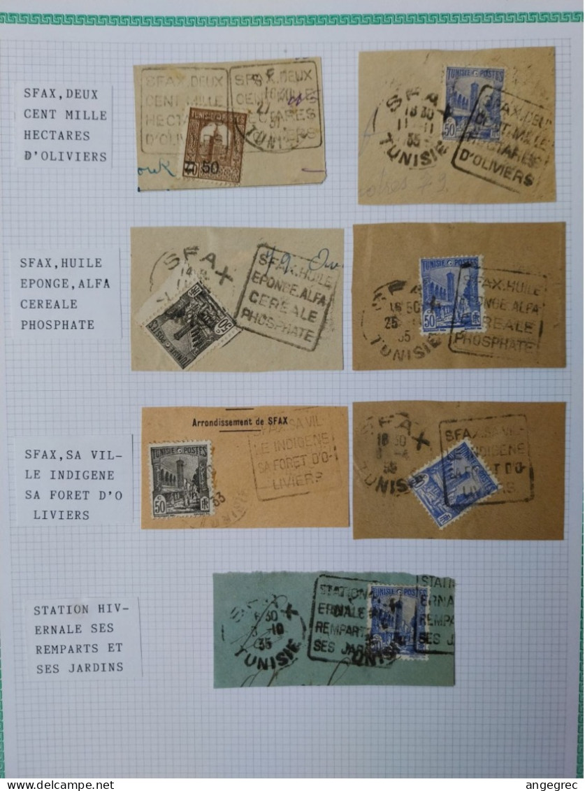 Tunisie Lot Timbre Oblitération Choisies Sfax Sur Fragment Et Oblitération Daguin Voir Scan - Used Stamps