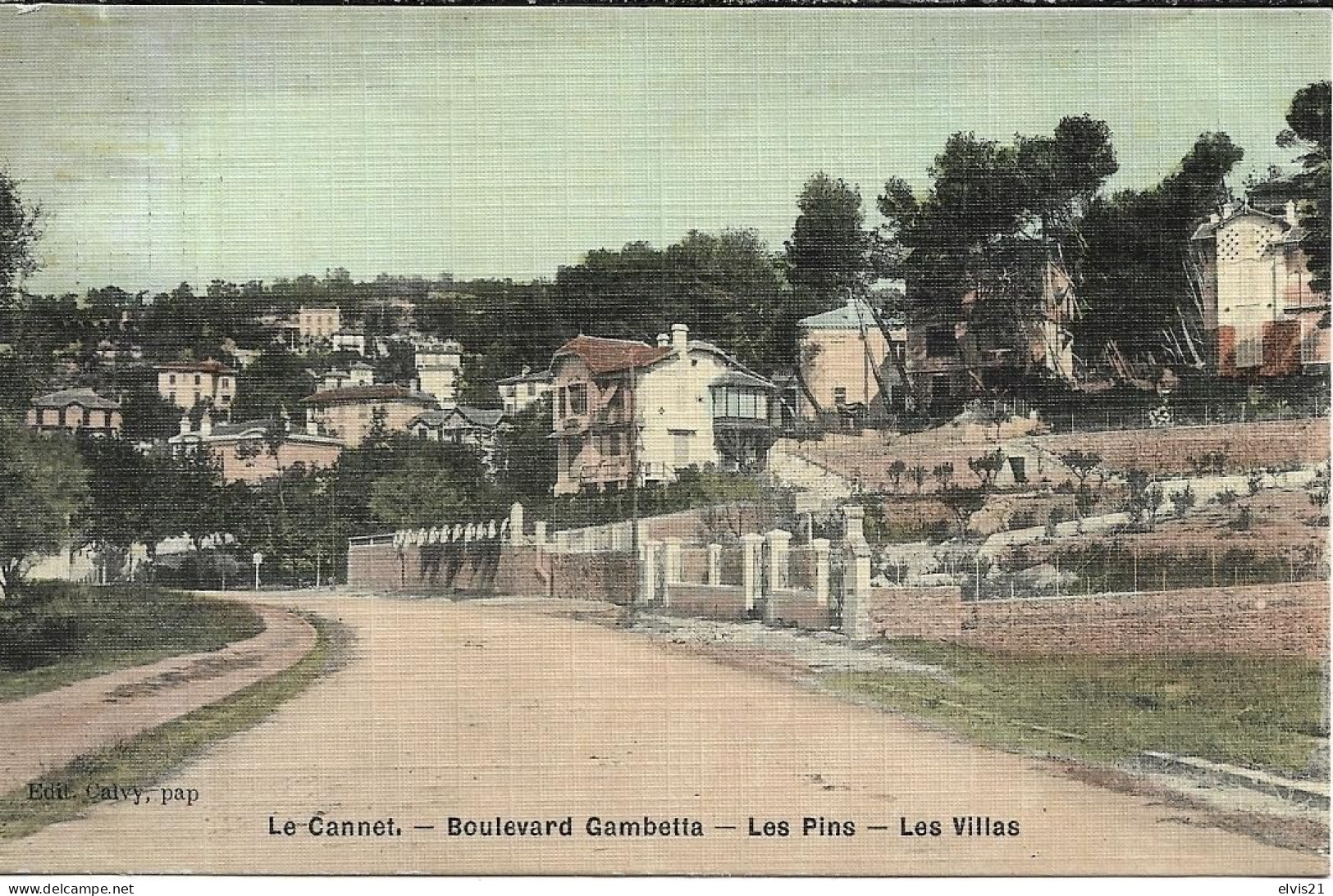 LE CANNET Boulevard Gambetta. Les Pins. Les Villas - Le Cannet