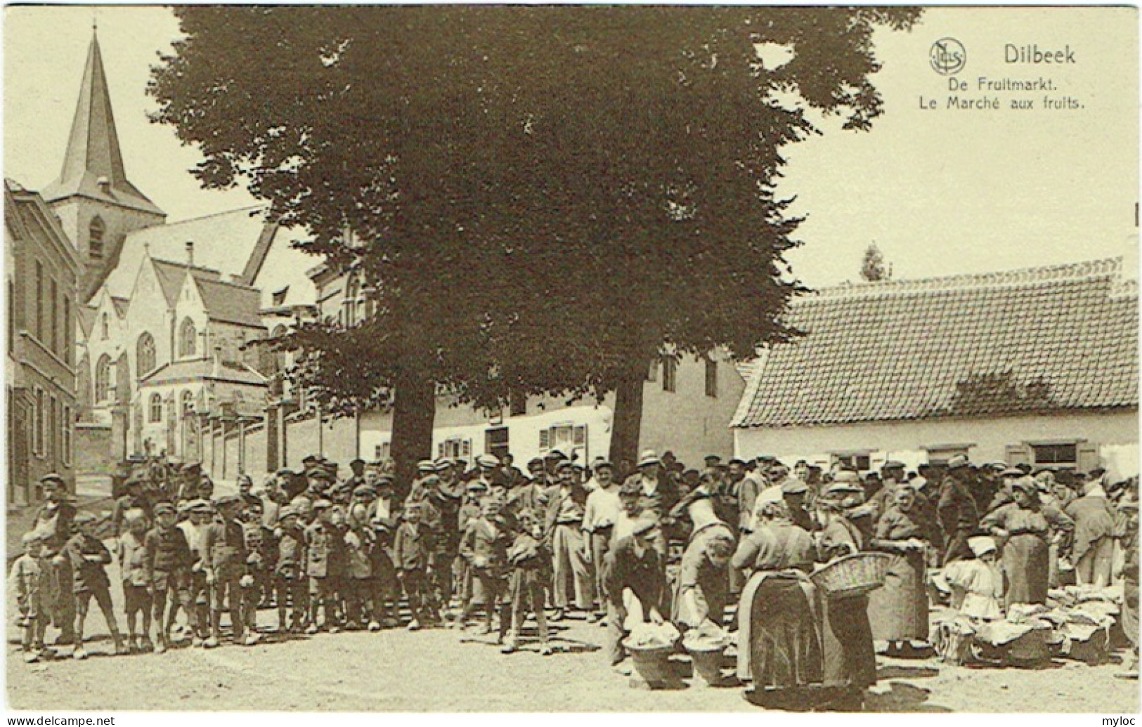  Dilbeek. De Fruitmarkt. Marché Aux Fruits. - Dilbeek