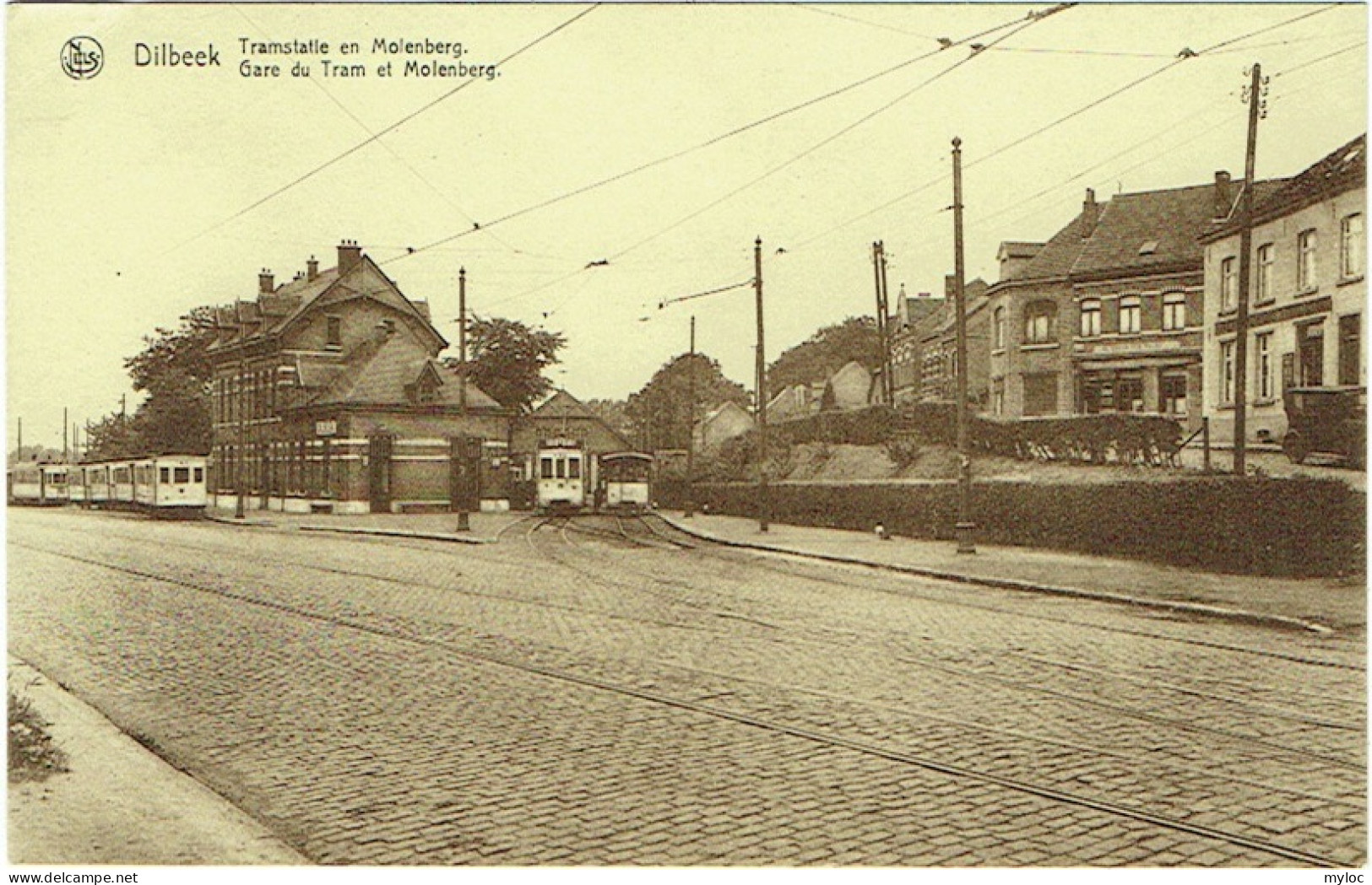  Dilbeek. Tramstatie En Molenberg. Gare Du Tram Et Molenberg - Dilbeek