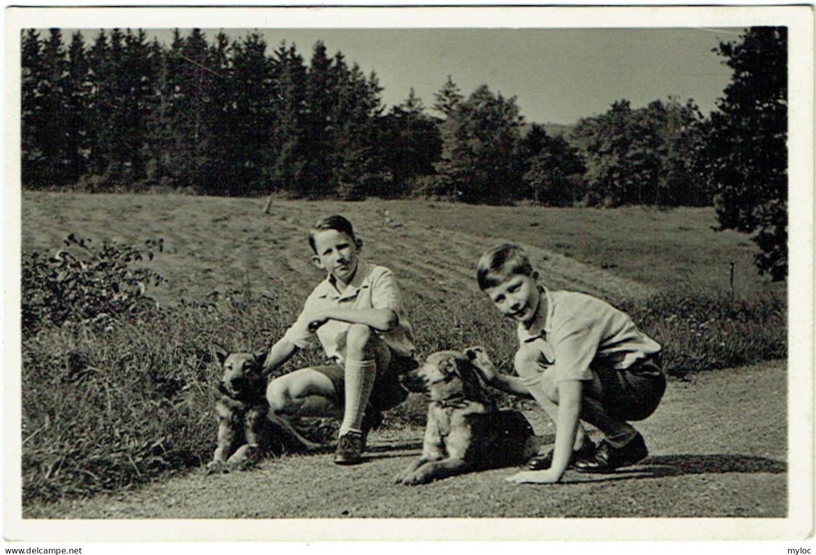  Duc De Brabant Et Prince De Liège Avec Chien. Juniors D'Honneur De La Croix Rouge. - Case Reali