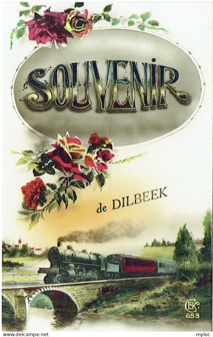 Souvenir De Dilbeek. Trein/Train. - Dilbeek