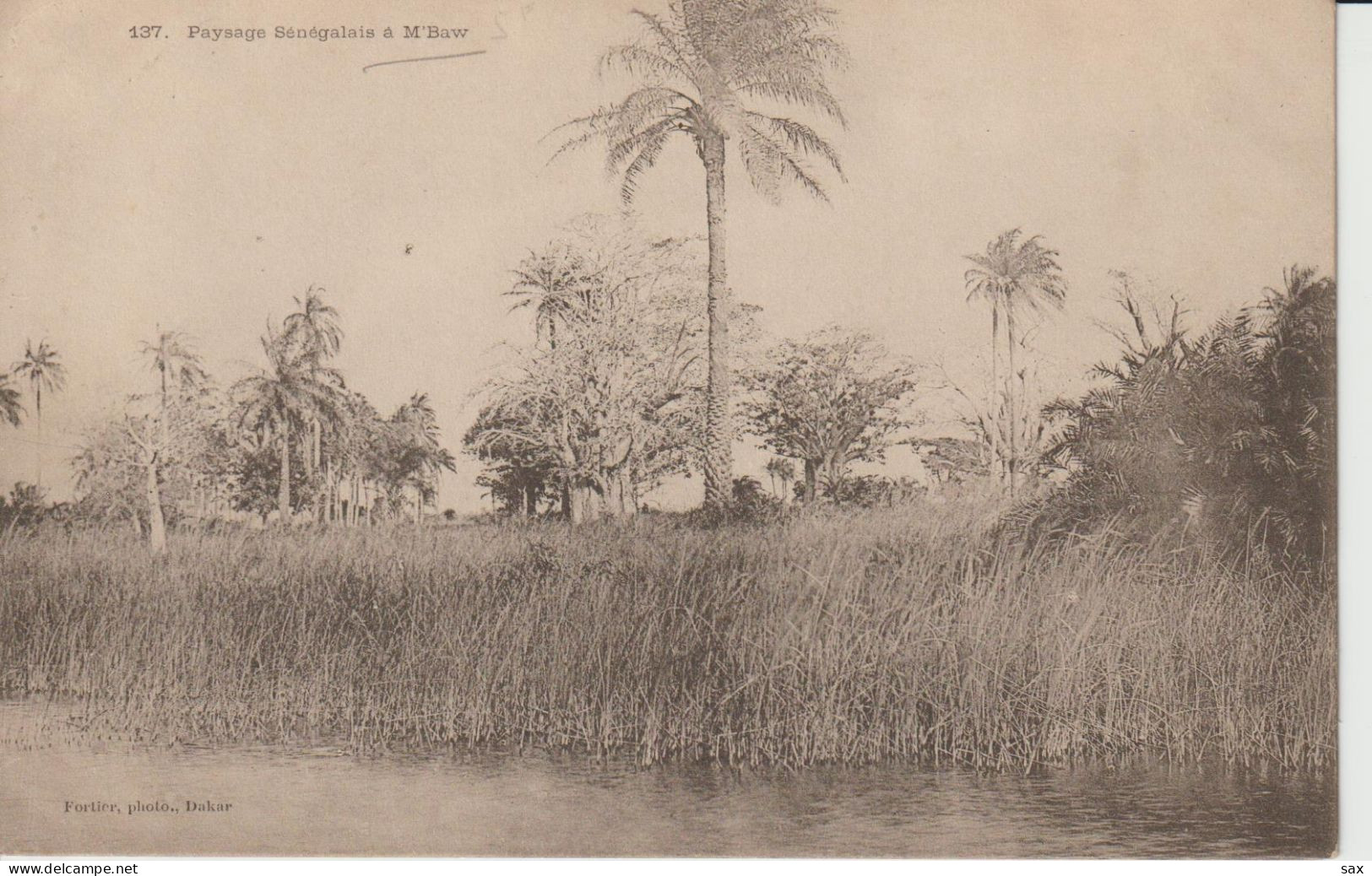 2416-142 Av 1905 N°137 Sénégal Paysages à M.Baw  Fortier Photo Dakar  Retrait Le 04-05 - Senegal