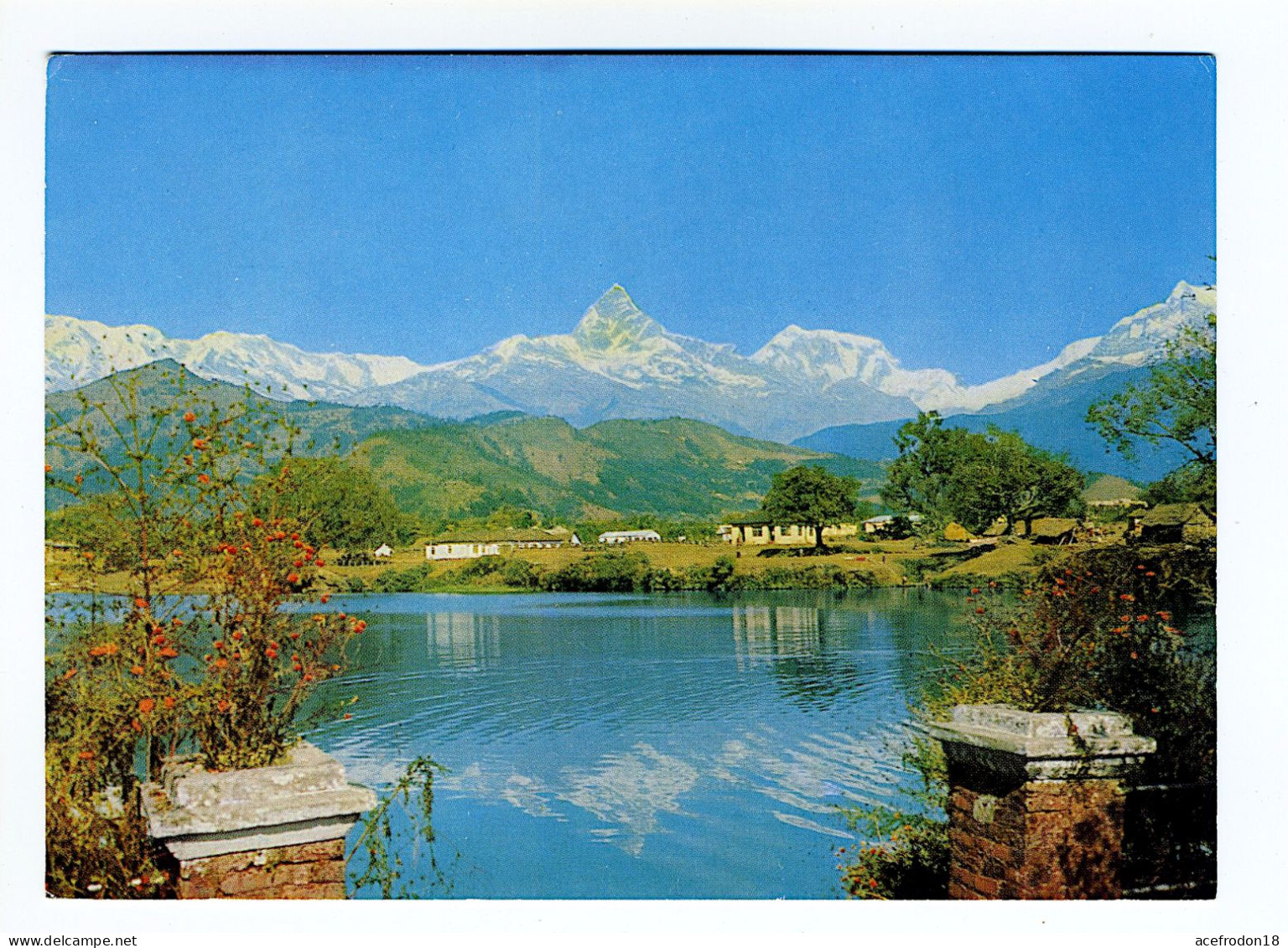 Montagne Machapuchare - Népal