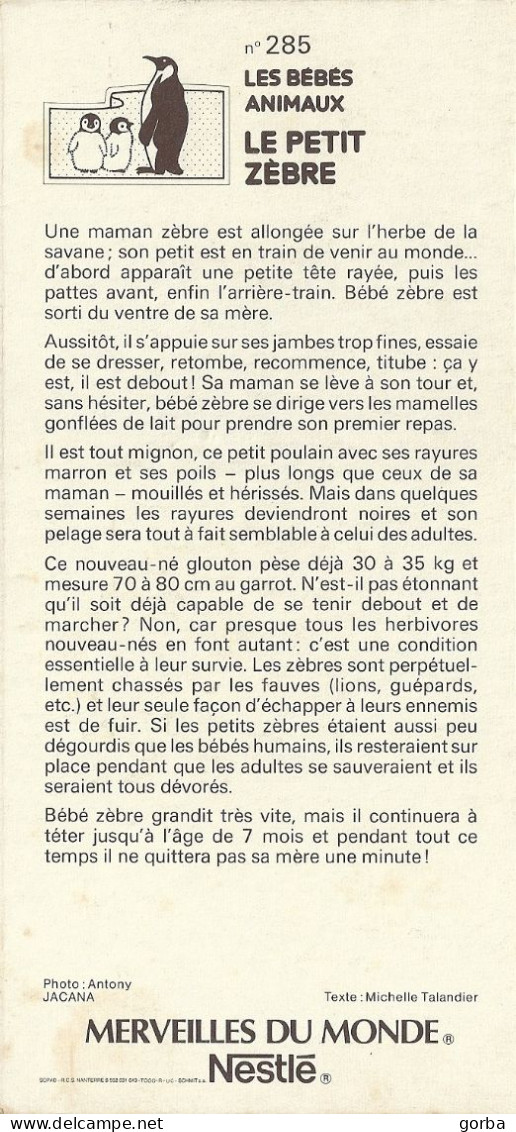 *Carte Collection Nestlé - Merveilles Du Monde - Les Bébés Animaux - N° 285 - Le Petit Zèbre - Otros & Sin Clasificación