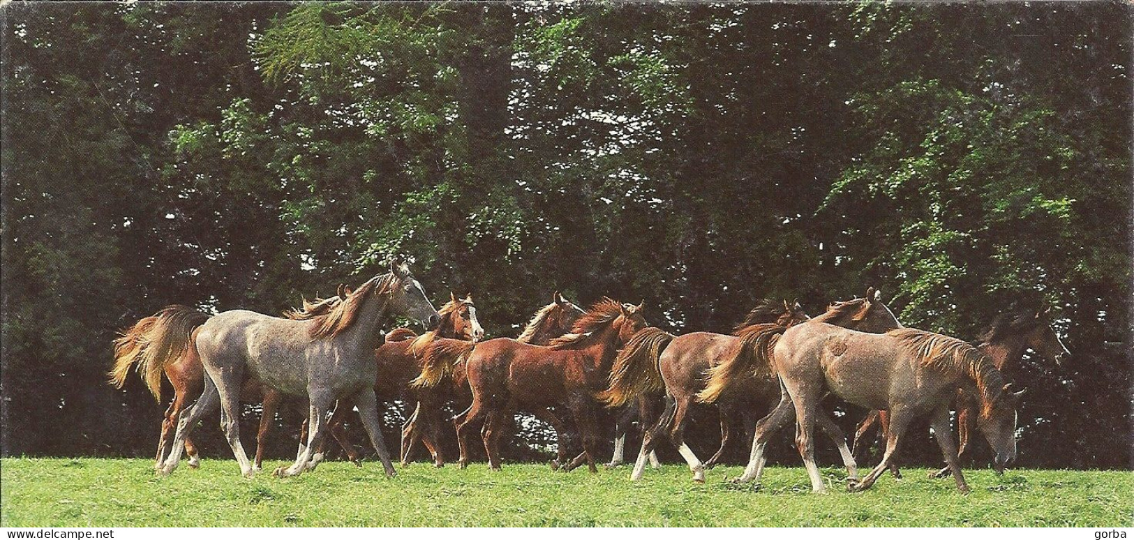 *Carte Collection Nestlé - Merveilles Du Monde - Le Cheval - N° 175 - De Vieilles Habitudes - Andere & Zonder Classificatie