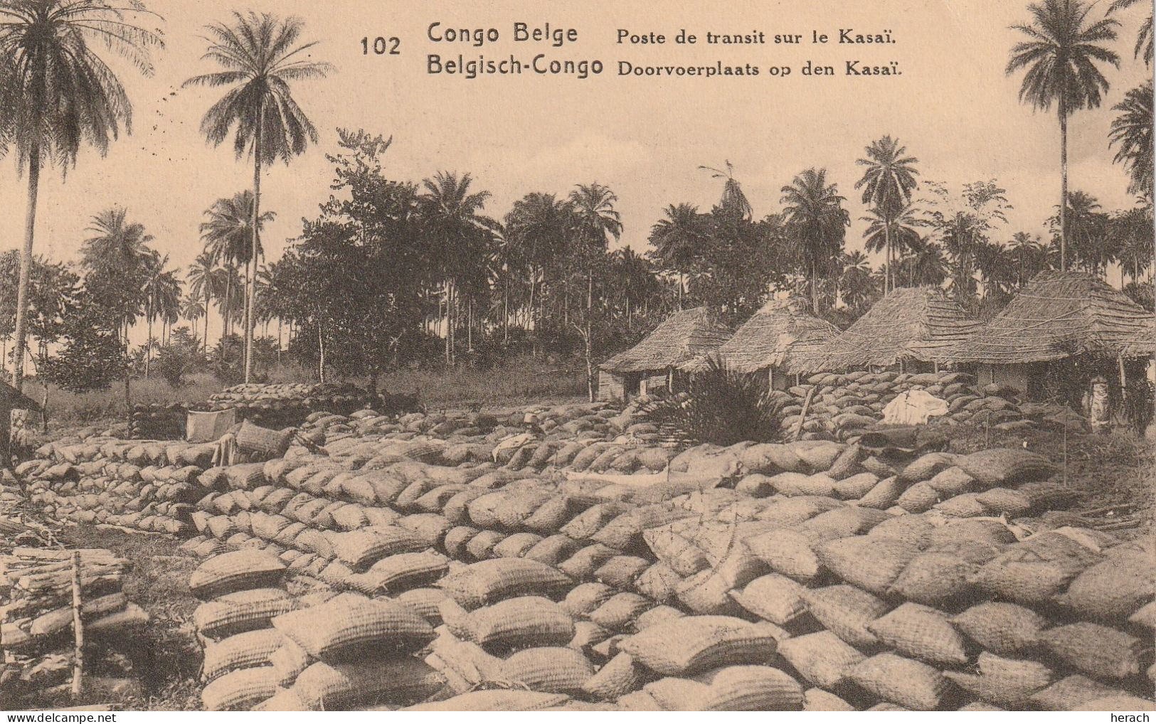 Congo Belge Entier Postal Illustré Pour La France 1922 - Postwaardestukken