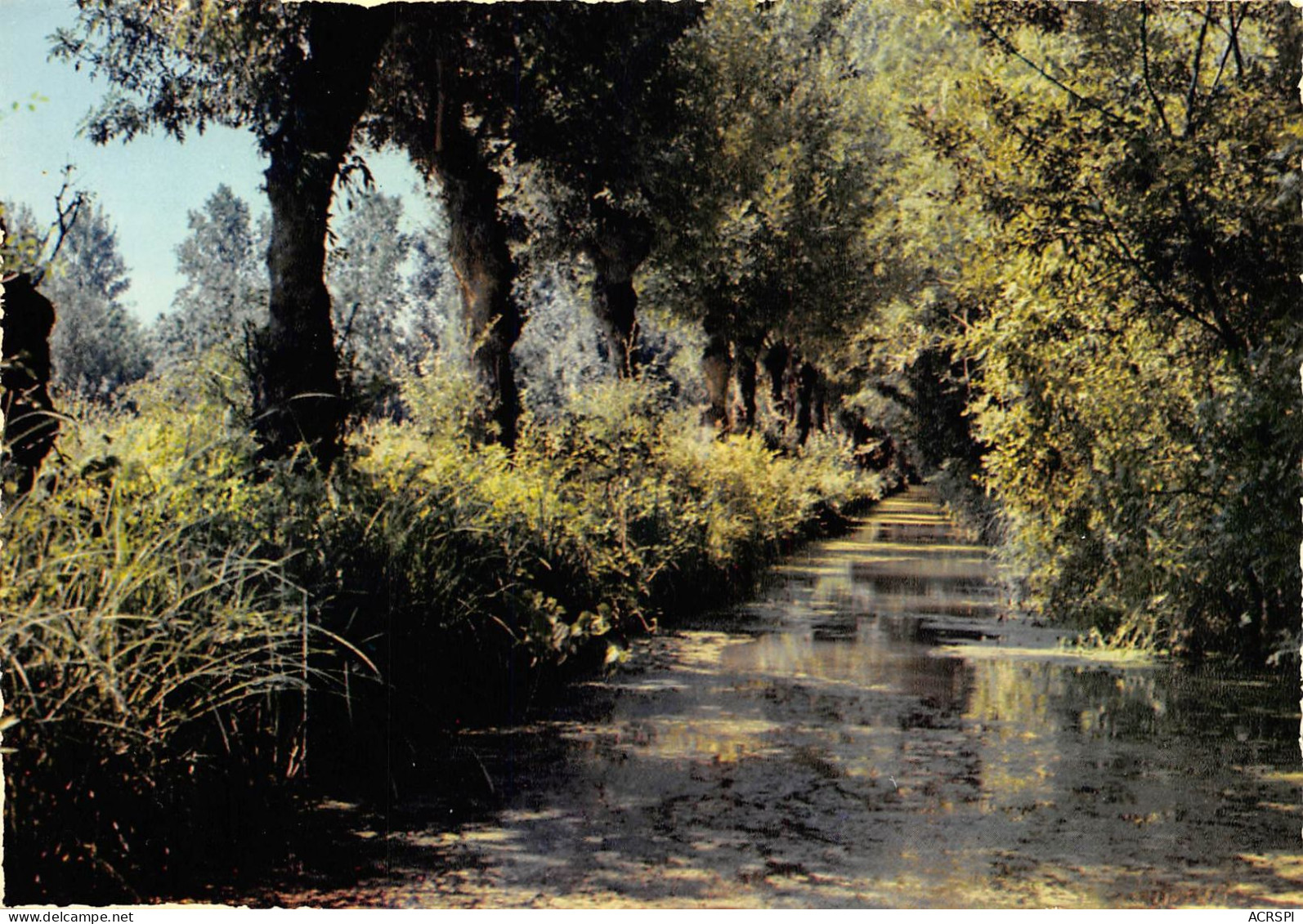 MAILLEZAIS Promenades En Barques Au Pied De L Abbaye Saint Pierre Fosse De La Chapelle 35(scan Recto-verso) MA806 - Maillezais