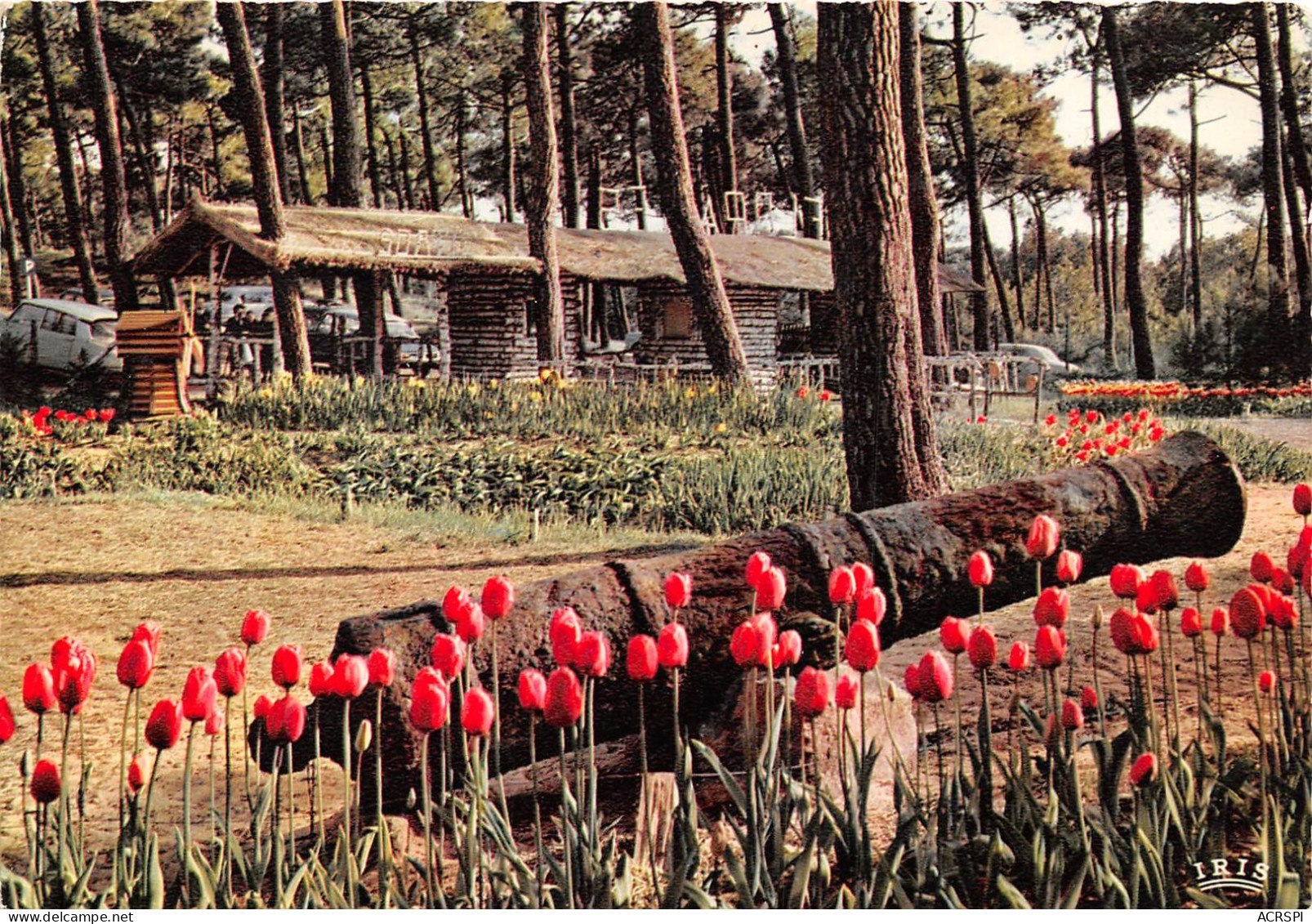 LA TRANCHE SUR MER Les Floralies 2(scan Recto-verso) MA816 - La Tranche Sur Mer