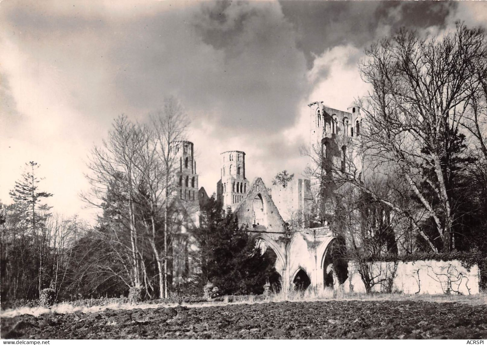 JUMIEGES Ruines De L Abbaye Les Eglises St Pierre Et  Notre Dame XIe S Vues Du Sud Est 13(scan Recto-verso) MA873 - Jumieges