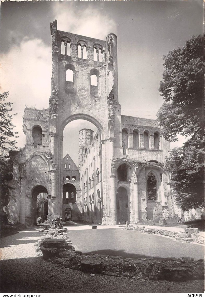 JUMIEGES Ruines De L Abbaye Nef De L Eglise Notre Dame XIe S Vue De L Est 16(scan Recto-verso) MA873 - Jumieges