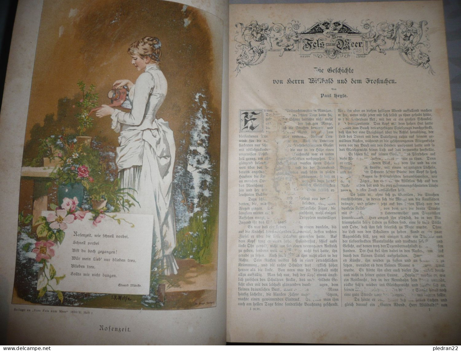 RELIURE DE LA REVUE VOM FELS ZUM MEER OKTOBER 1880 MARZ 1891 SPEMANN'S ILLUSTRIRTE ZEITSCHRIFT FÜR DAS DEUTSCHE HAUS - Hobby & Sammeln