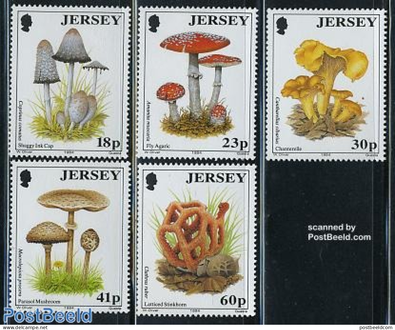 Jersey 1994 Mushrooms 5v, Mint NH, Nature - Mushrooms - Funghi