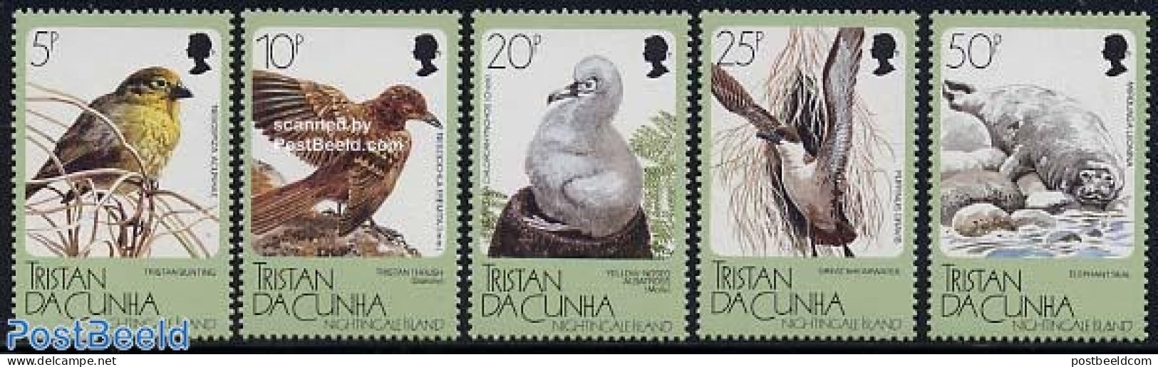 Tristan Da Cunha 1988 Nightingale Island Animals 5v, Mint NH, Nature - Birds - Sea Mammals - Tristan Da Cunha