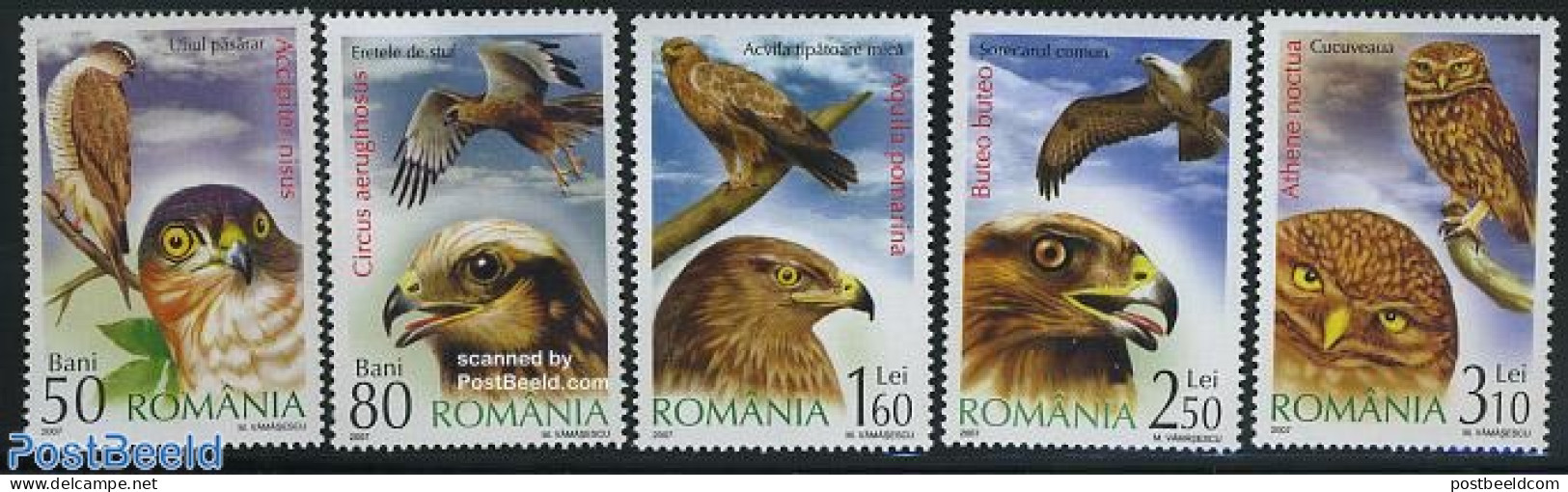 Romania 2007 Birds Of Prey 5v, Mint NH, Nature - Birds - Birds Of Prey - Owls - Ungebraucht