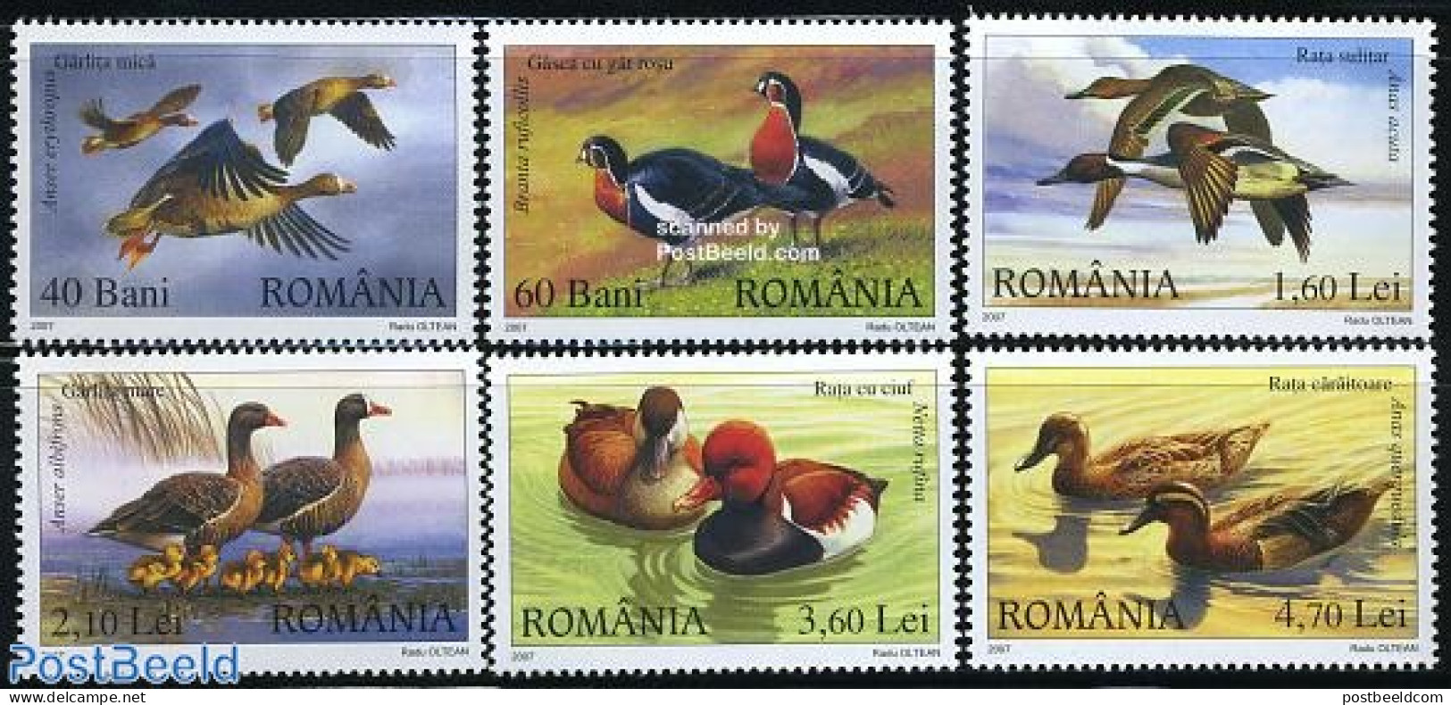 Romania 2007 Ducks & Goose 6v, Mint NH, Nature - Birds - Ducks - Ungebraucht