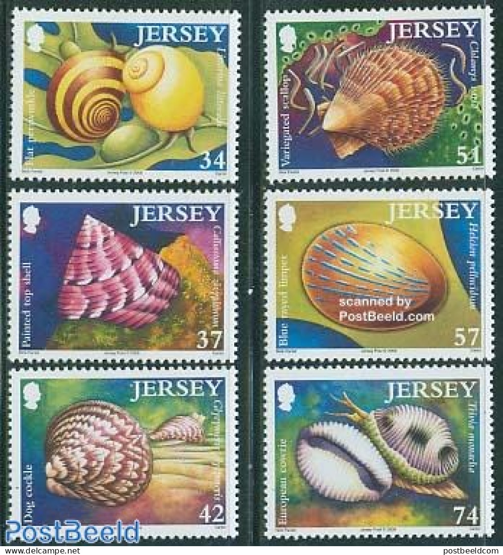 Jersey 2006 Shells 6v, Mint NH, Nature - Shells & Crustaceans - Vie Marine