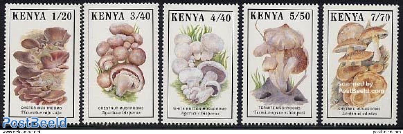 Kenia 1989 Mushrooms 5v, Mint NH, Nature - Mushrooms - Pilze